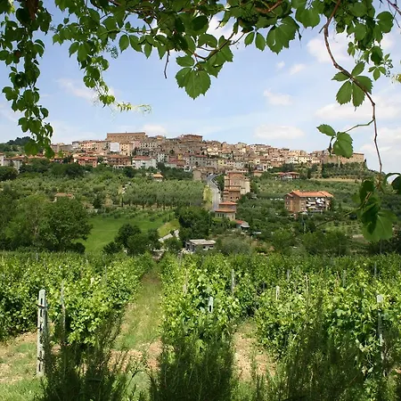 La Pietriccia Alloggio per agriturismo Chianciano Terme