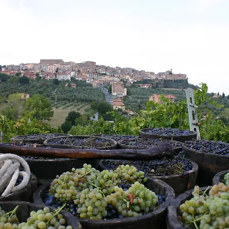 Séjour à la ferme La Pietriccia Chianciano Terme