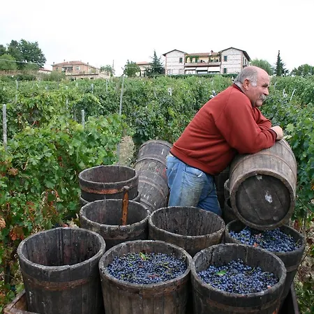 La Pietriccia *