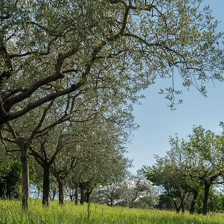 La Pietriccia Chianciano Terme